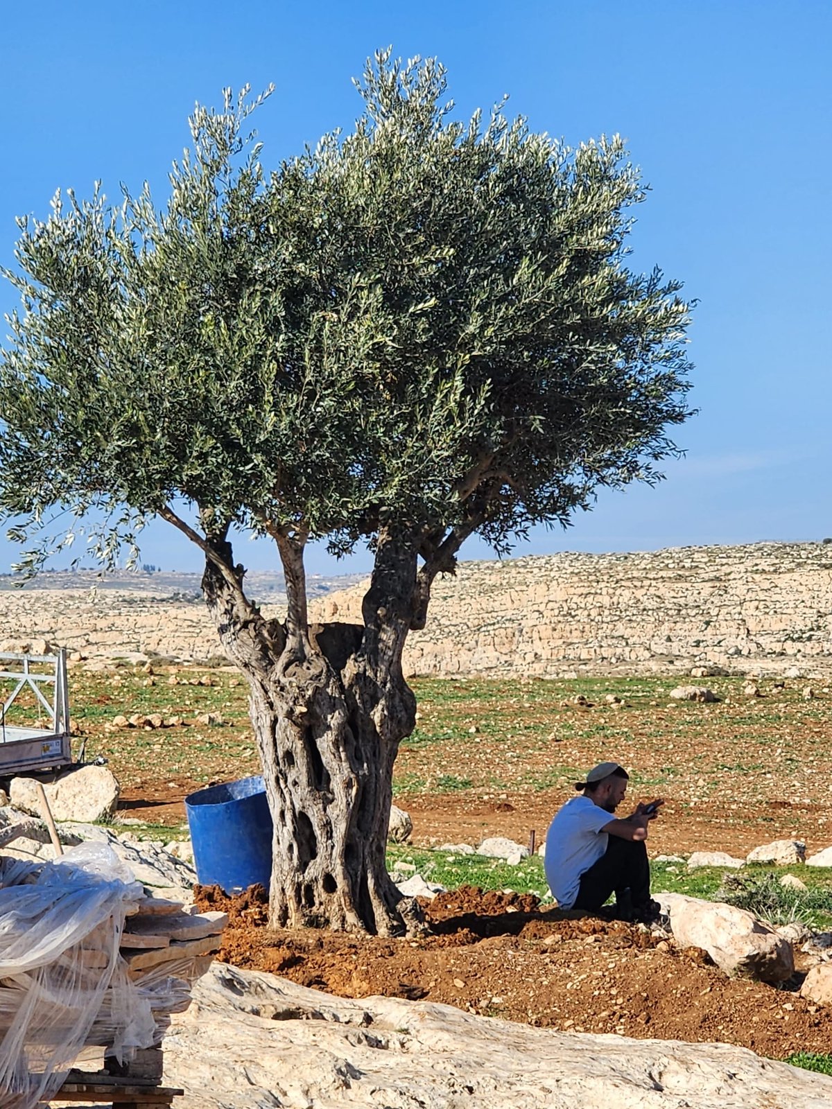 התצפית החדשה