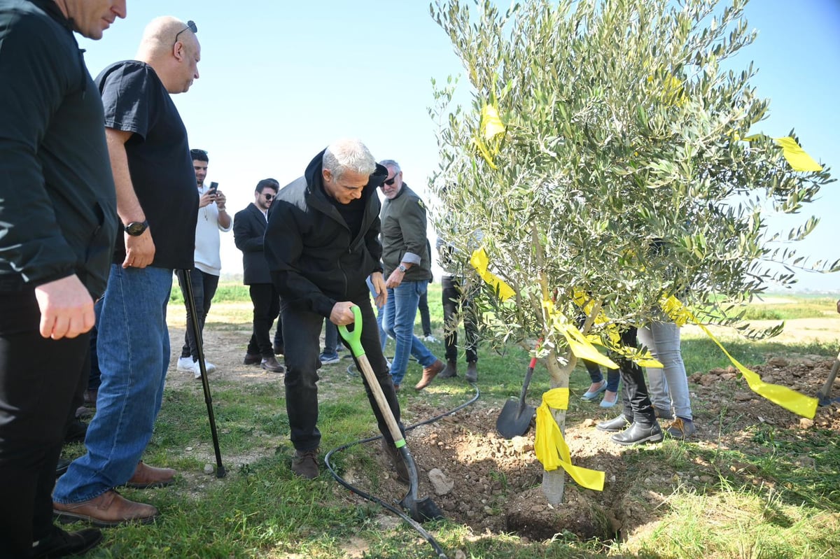 לפיד מסייר היום בכיסופים ונוטע עץ