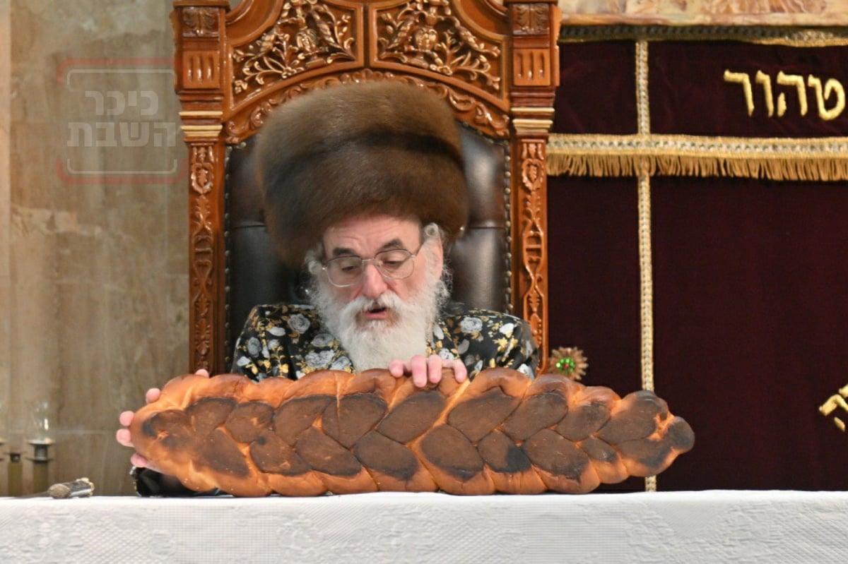 האדמו"ר מויז'ניץ ערך טיש ט"ו בשבט באנטוורפן | תיעוד מסכם