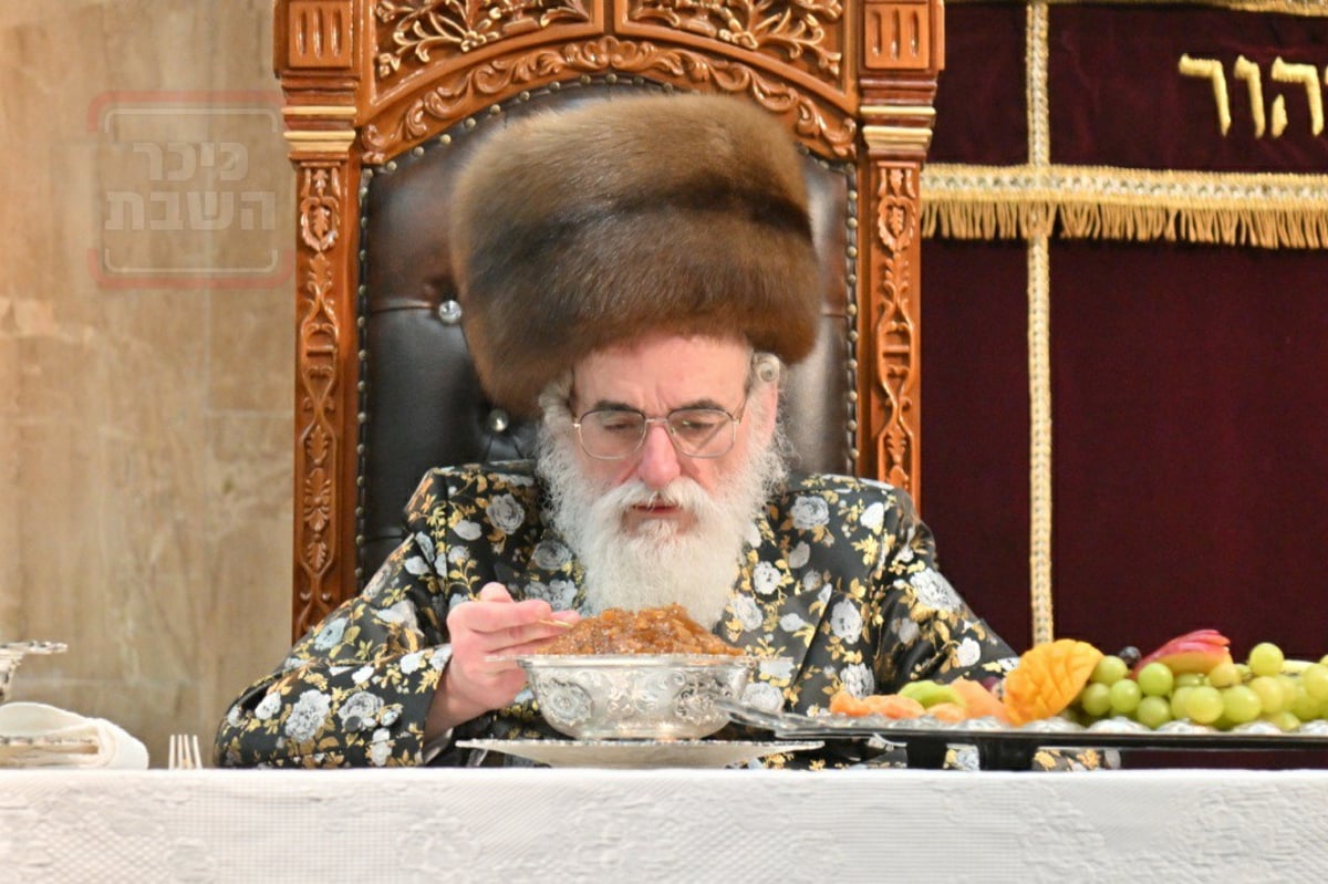 האדמו"ר מויז'ניץ ערך טיש ט"ו בשבט באנטוורפן | תיעוד מסכם