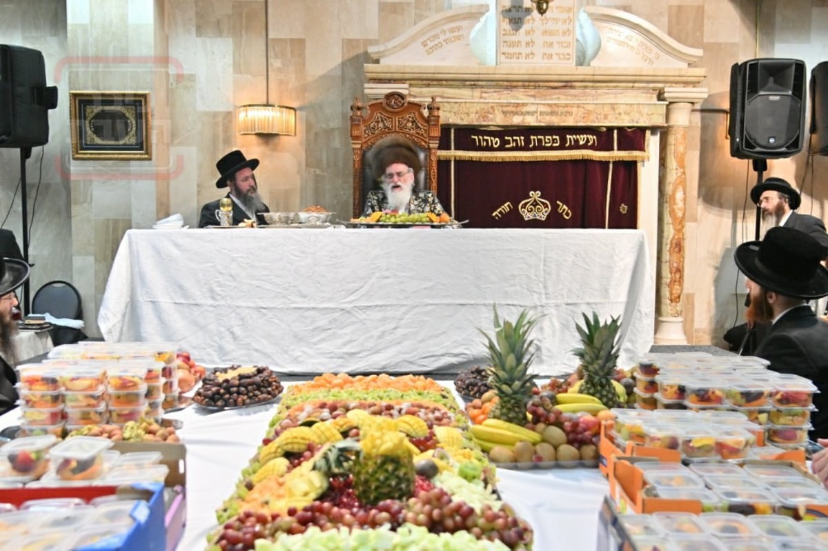 האדמו"ר מויז'ניץ ערך טיש ט"ו בשבט באנטוורפן | תיעוד מסכם