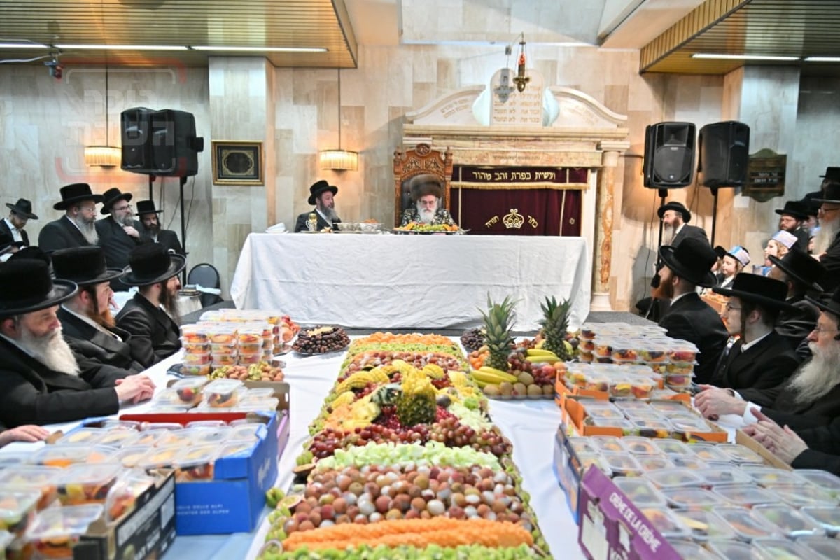 האדמו"ר מויז'ניץ ערך טיש ט"ו בשבט באנטוורפן | תיעוד מסכם