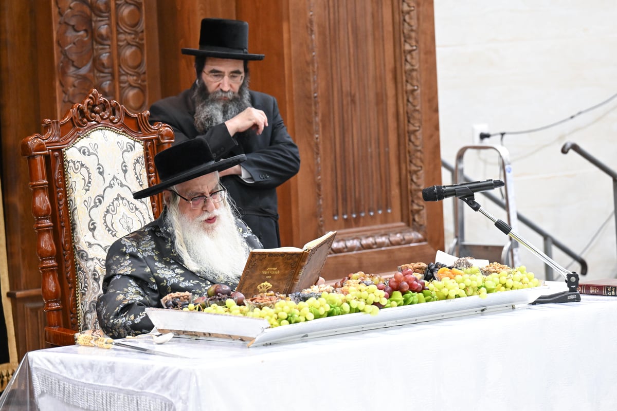 ט"ו בשבט בחצר הקודש צאנז