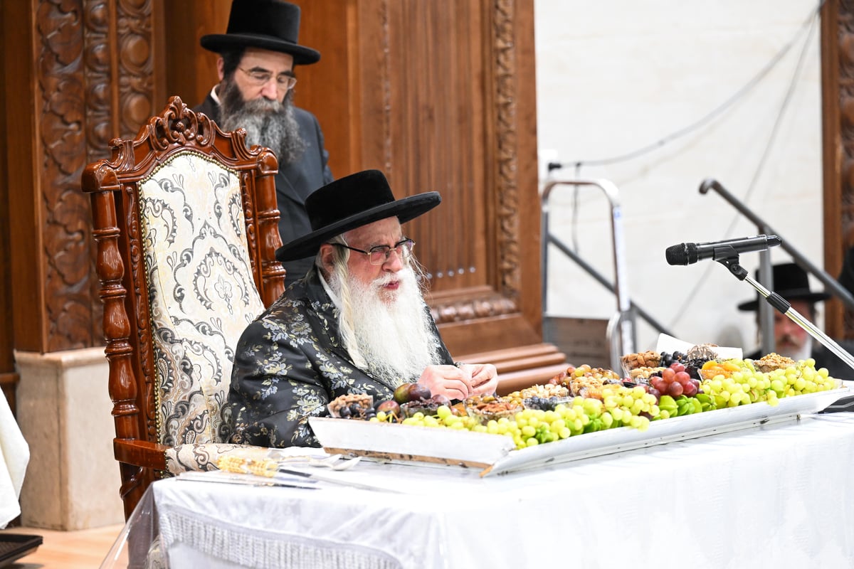 ט"ו בשבט בחצר הקודש צאנז