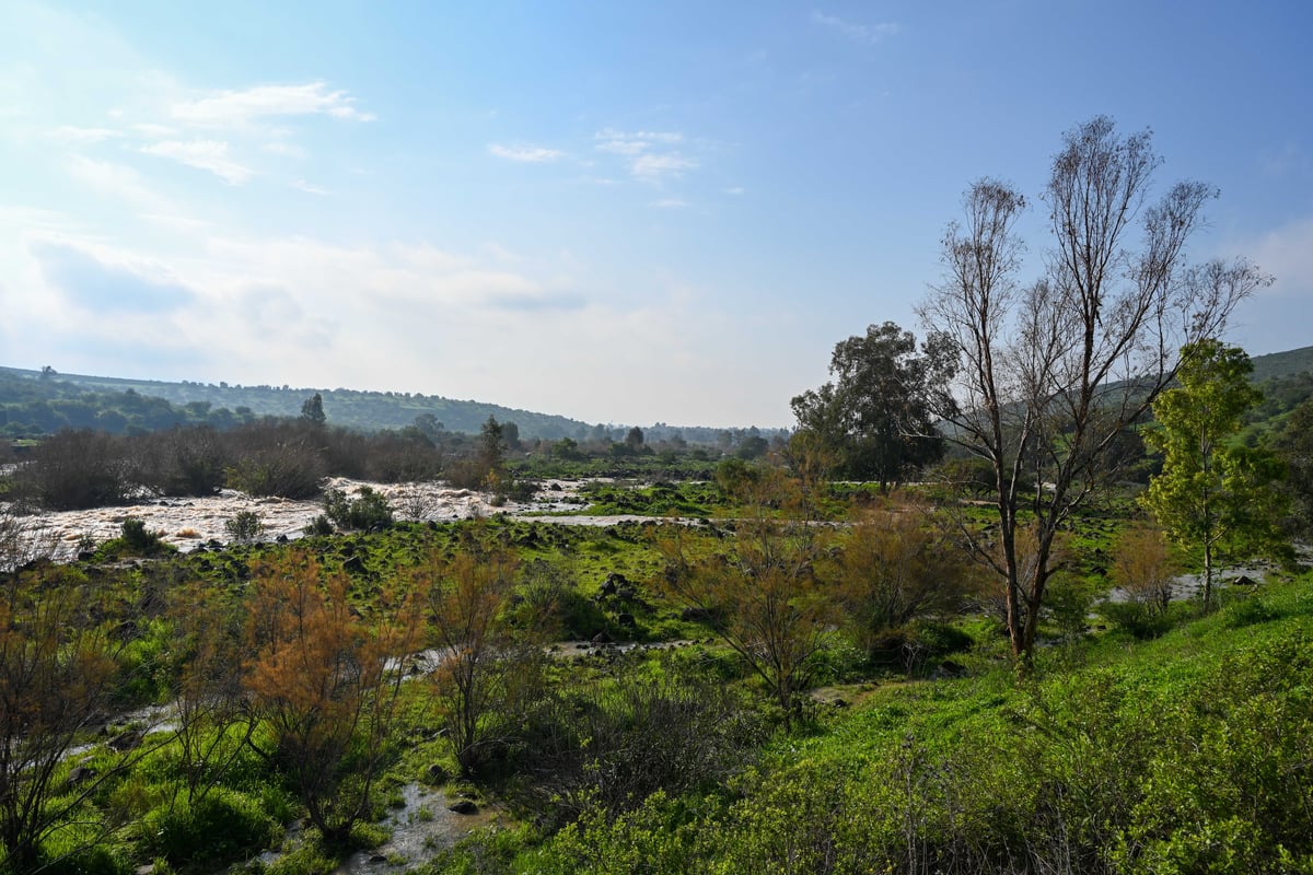 הזרימה בירדן לעבר הכנרת