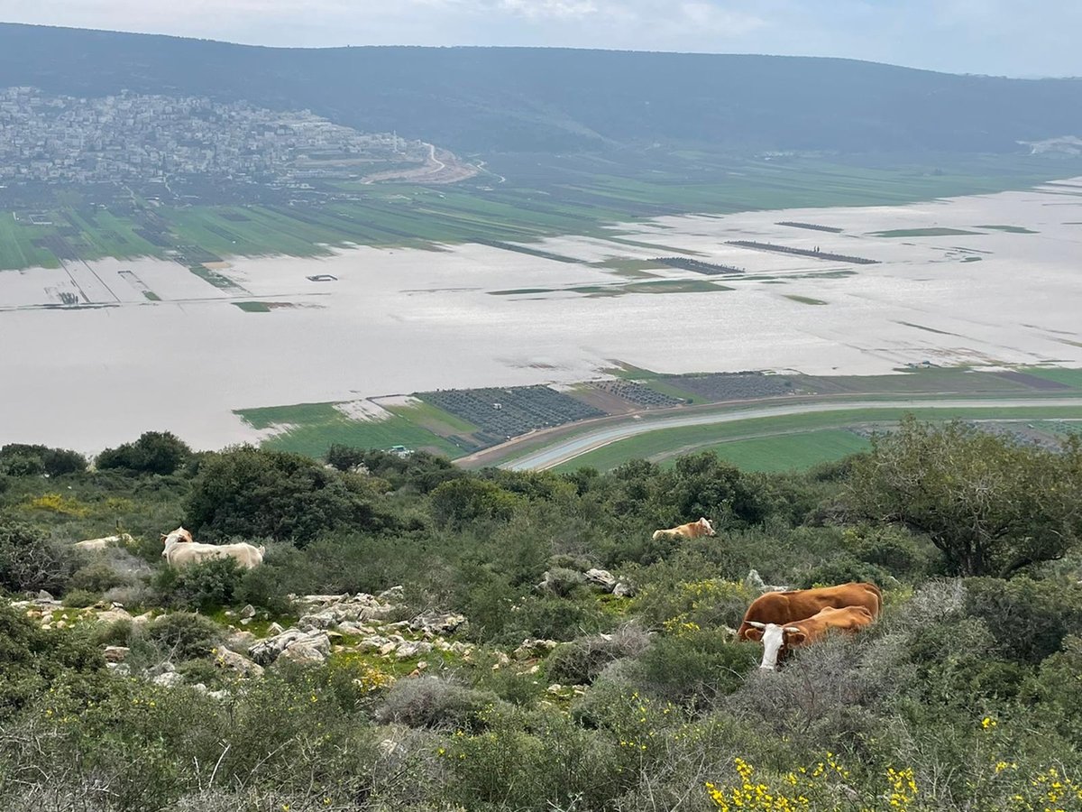 בקעת בית נטופה, אדר א' תשפ"ד