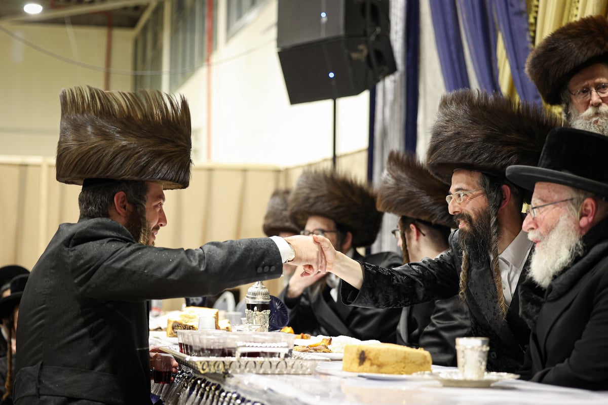 שמחת השבע ברכות בחצר הקודש זוועהיל | תיעוד