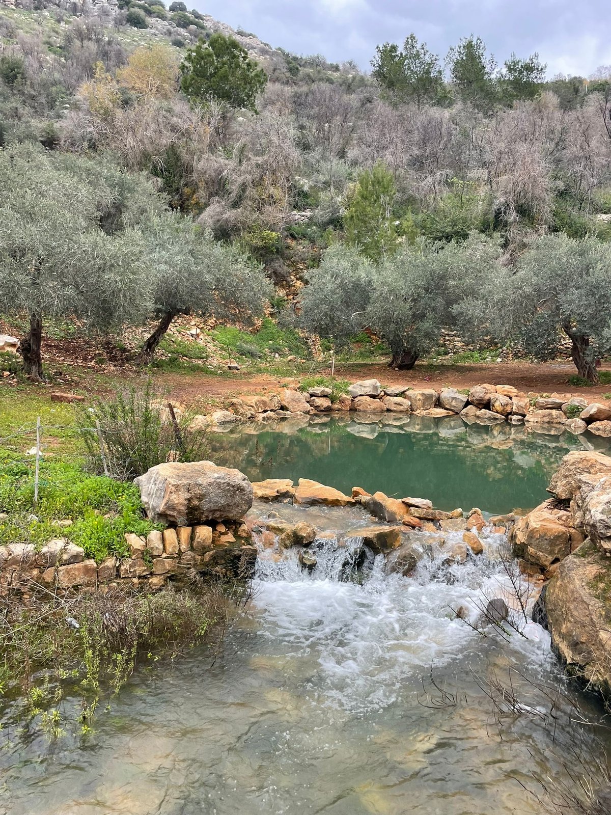 עין מַגְ'נוּנָה (עין יפעם)