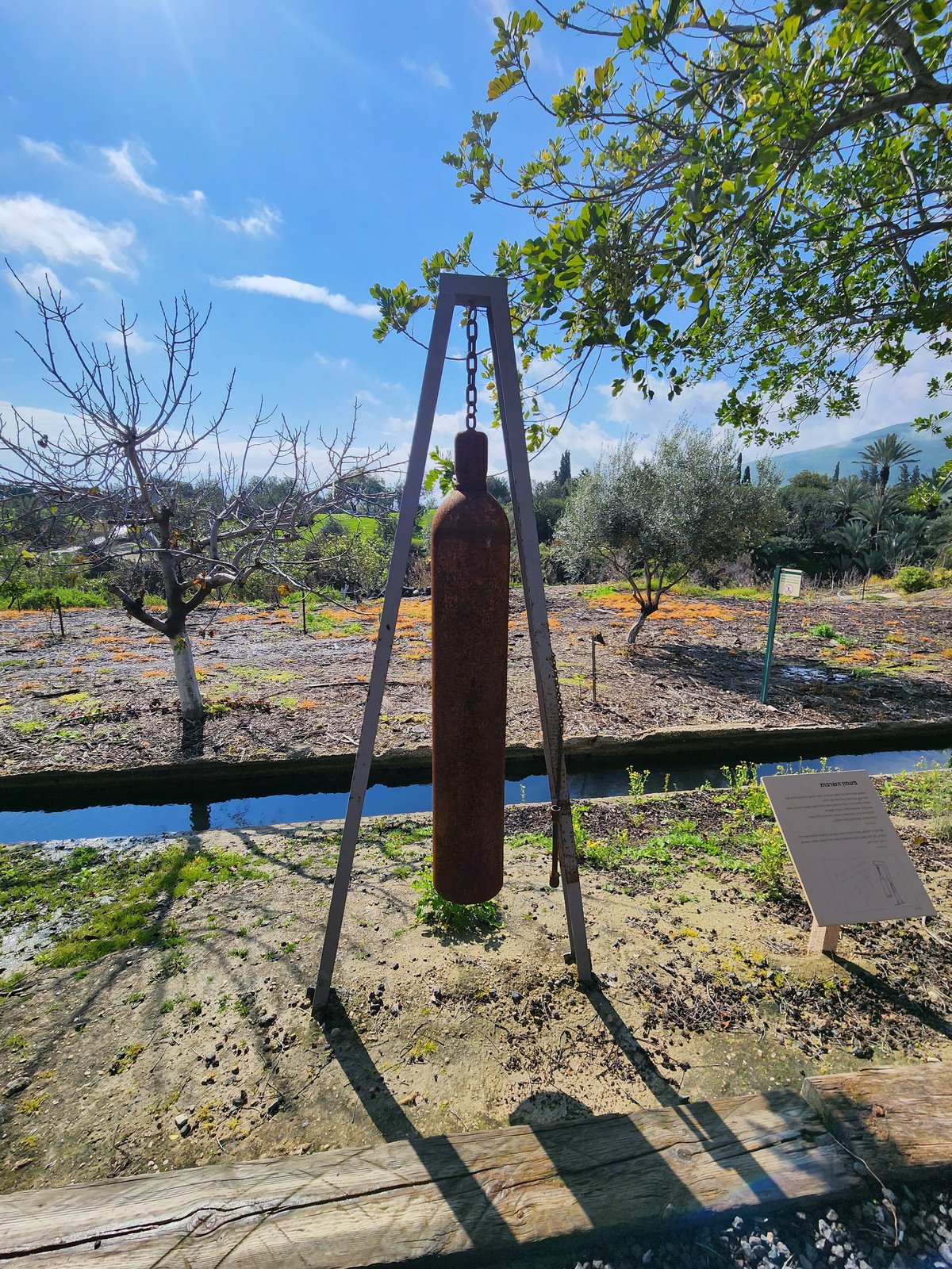 חצר מוזאון חומה ומגדל