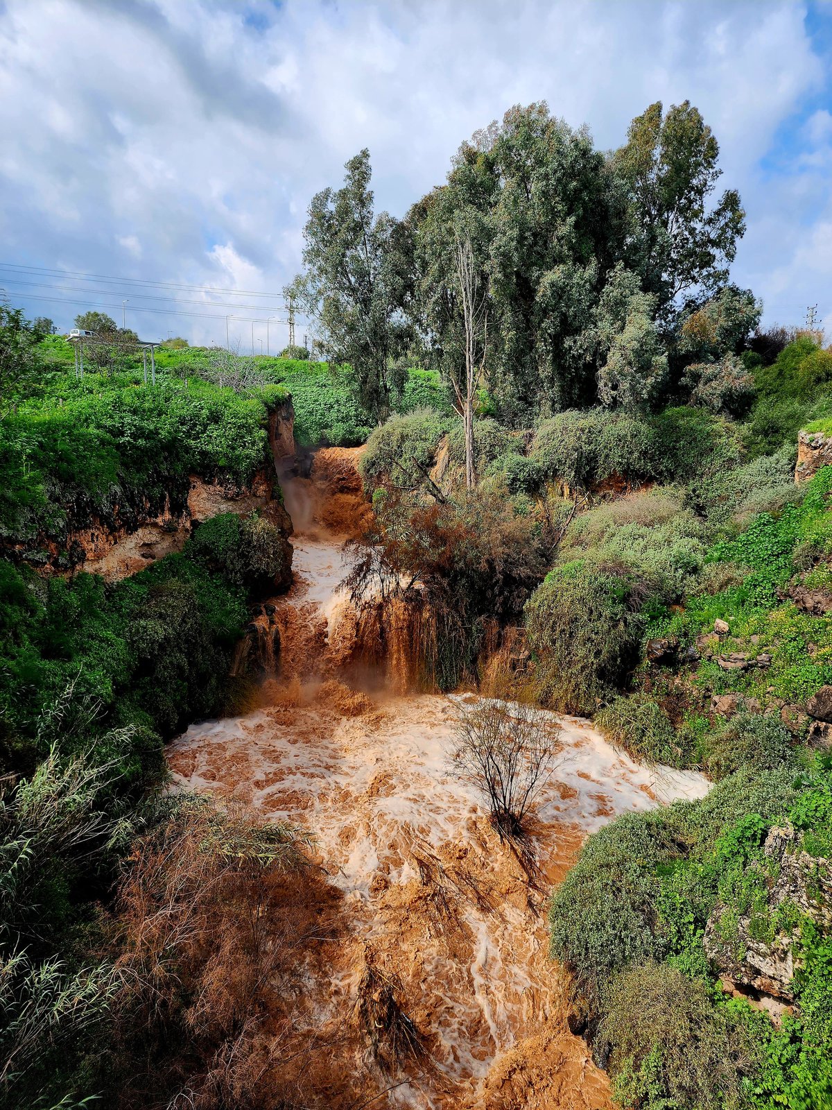 טבע באזור עמק בית שאן