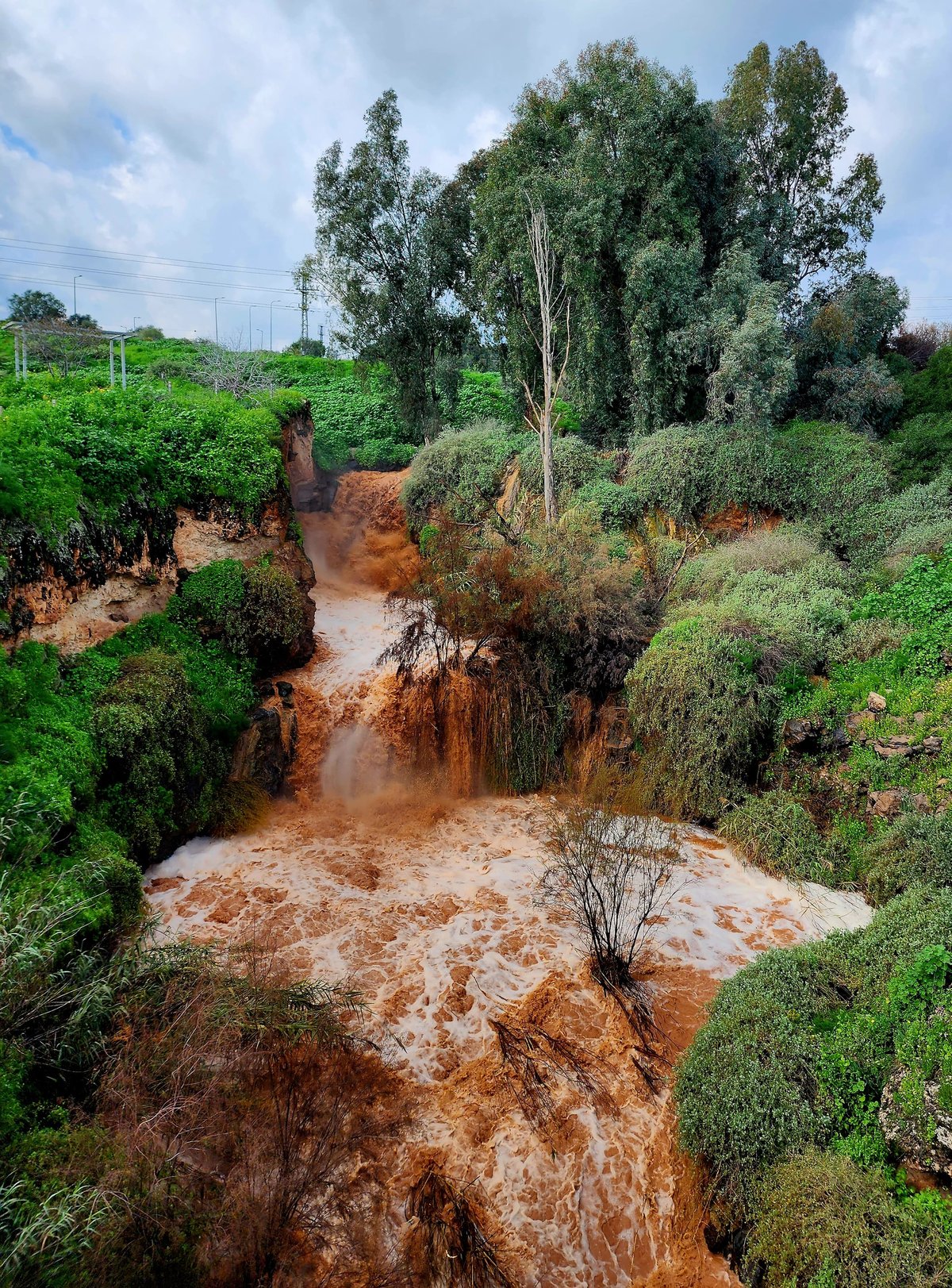 טבע באזור עמק בית שאן