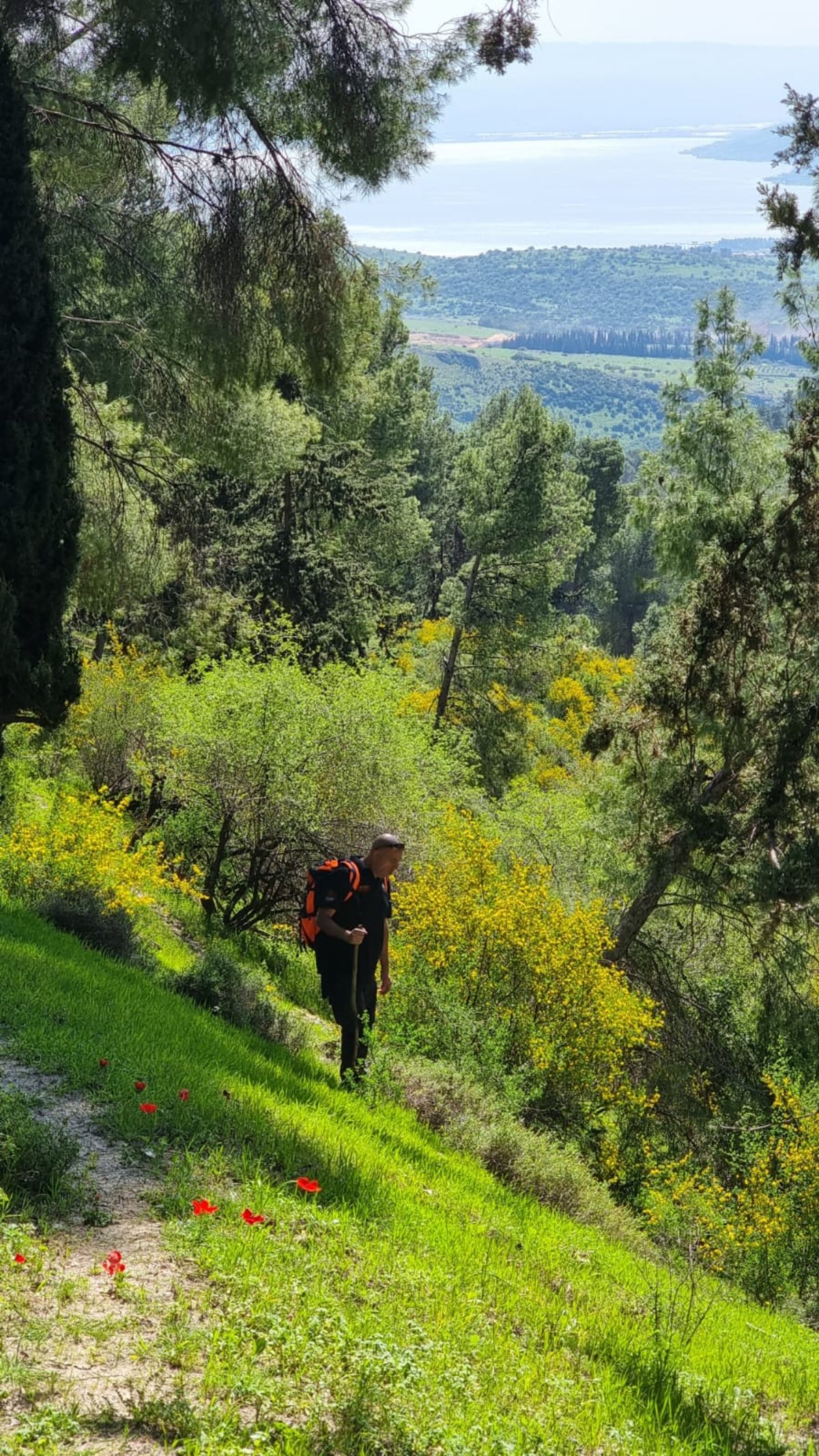 פרשיית ההיעלמות המסתורית בצפת: יותר מ-1800 איש משתתפים בחיפושים | תיעוד