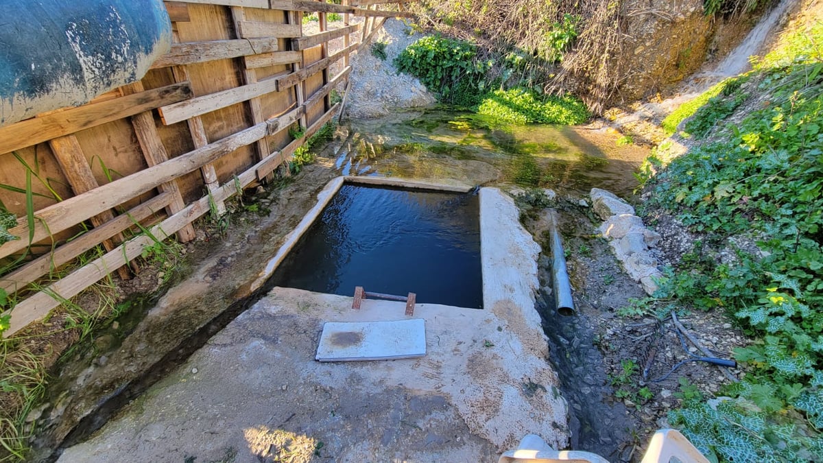 מעין שמעון בביריה