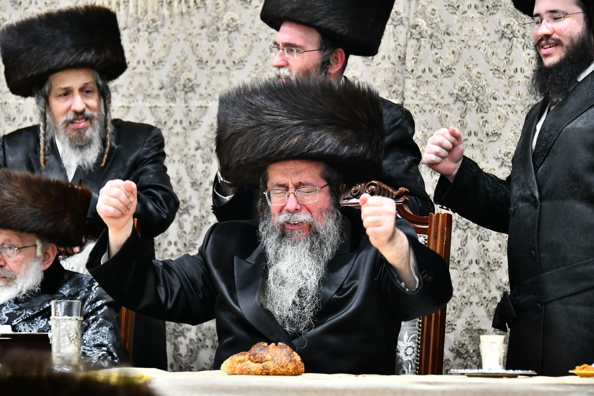 שמחת בית שבט הלוי – מאקווא – זידטשוב – נדבורנה | תיעוד