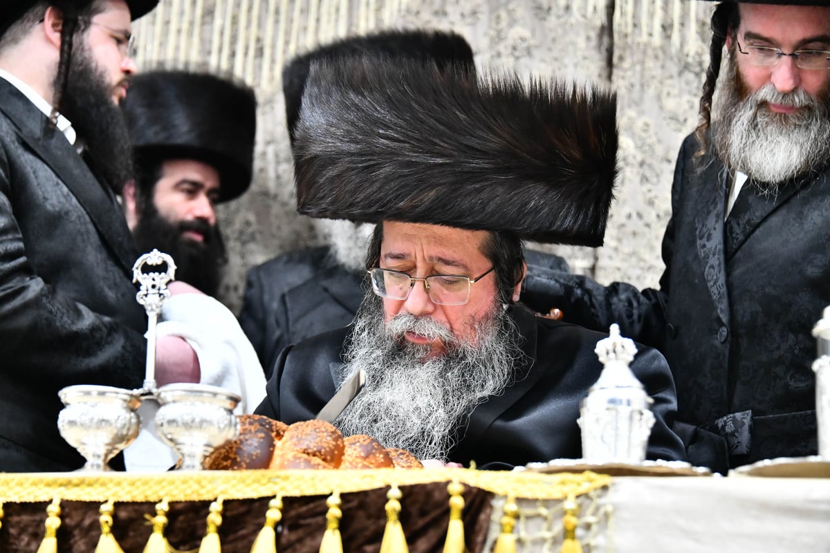 שמחת בית שבט הלוי – מאקווא – זידטשוב – נדבורנה | תיעוד