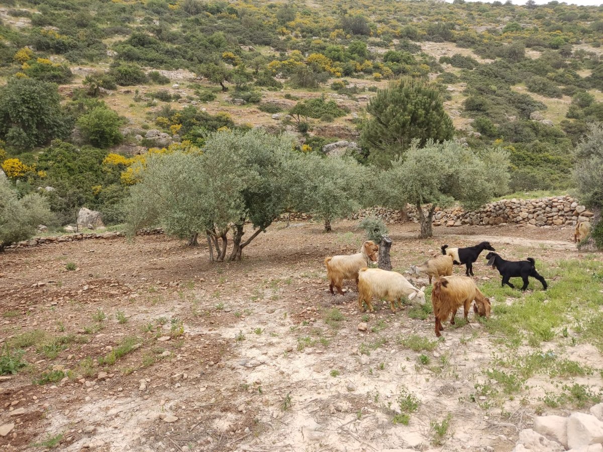 התחזית: חם ונעים ברוב חלקי הארץ | בהמשך השבוע תהיה התחממות נוספת 