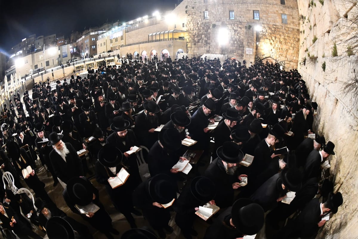 לרפואת האדמו"ר: חסידי ביאלה בעצרת תפילה בכותל המערבי