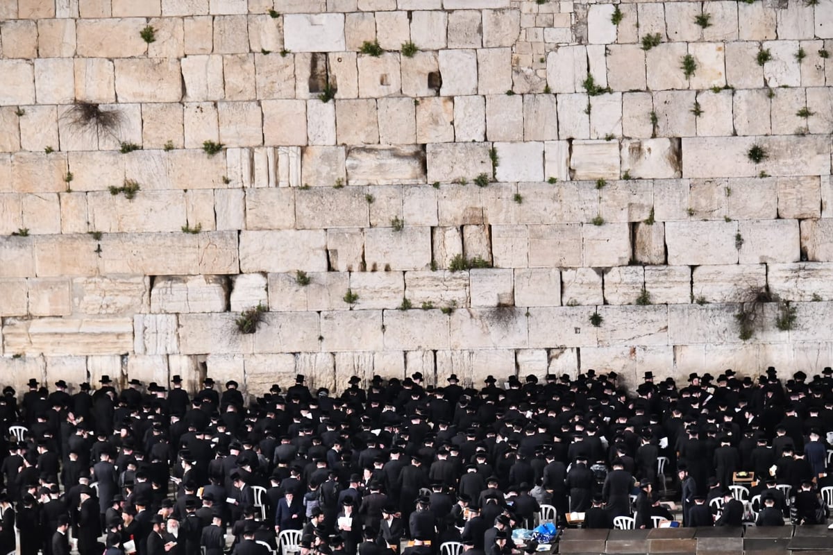 לרפואת האדמו"ר: חסידי ביאלה בעצרת תפילה בכותל המערבי