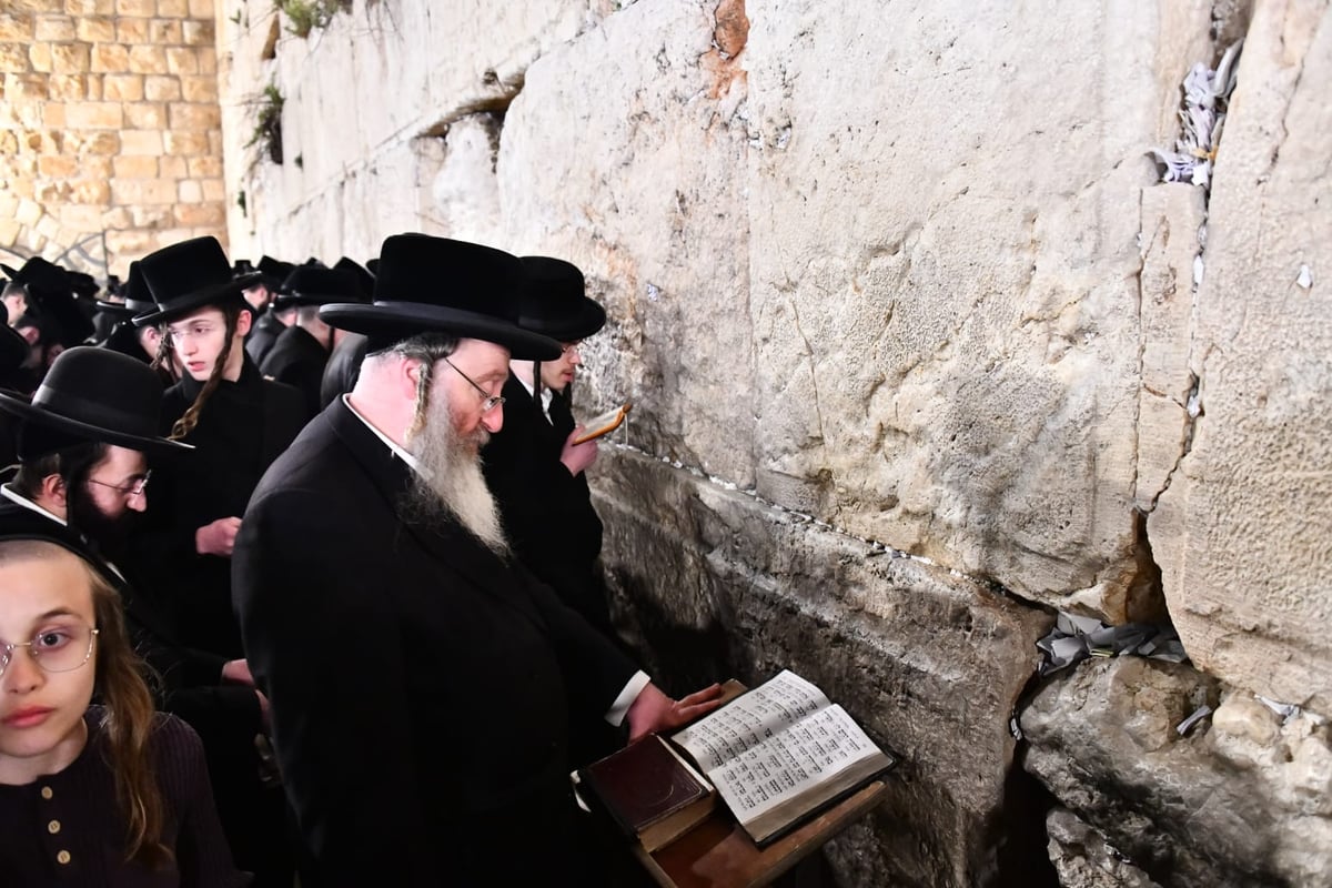 לרפואת האדמו"ר: חסידי ביאלה בעצרת תפילה בכותל המערבי