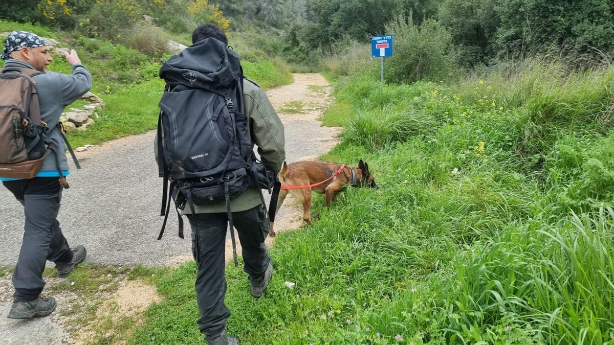 החיפושים אחר יורם פליטר