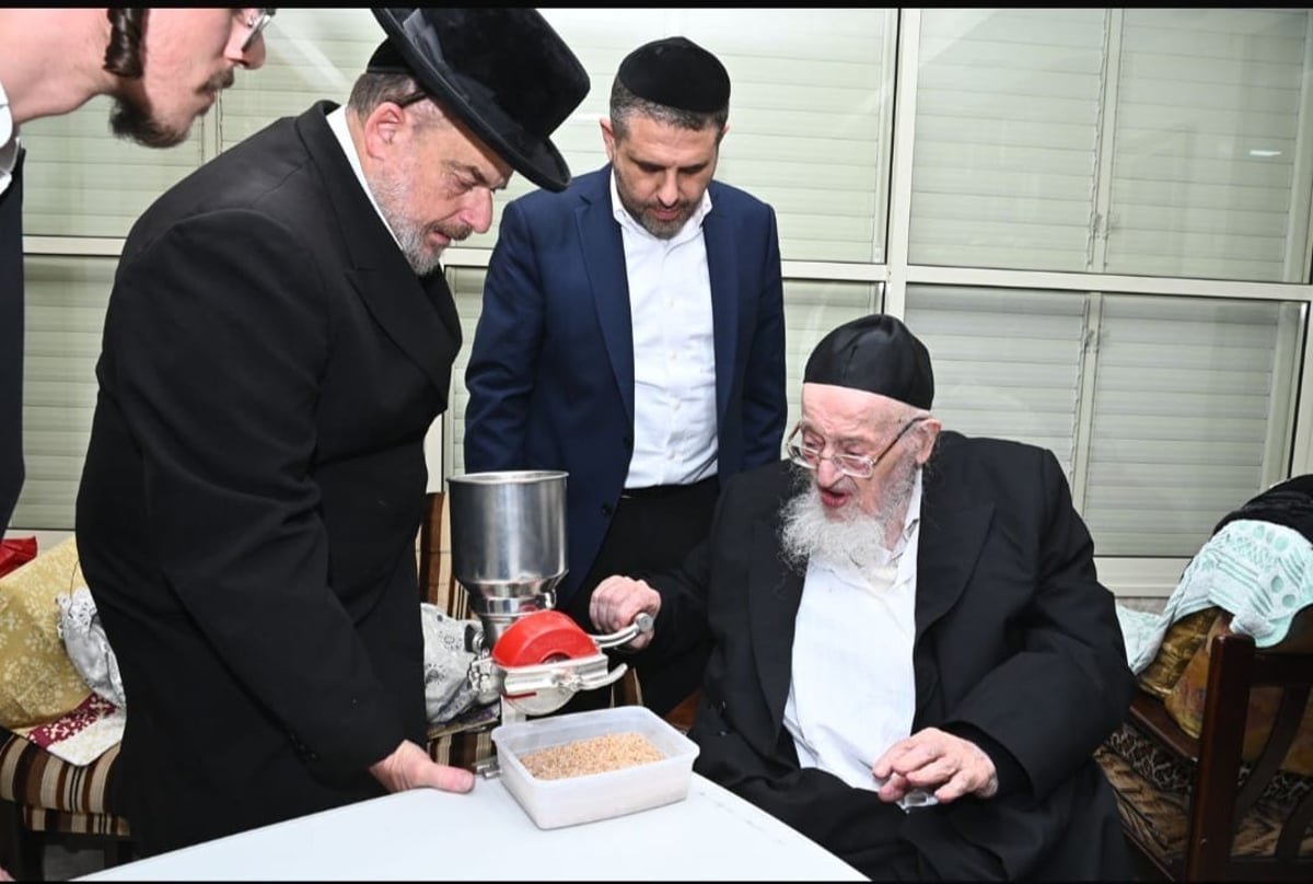 חבר המועצת הגרמ"צ ברגמן בטחינת חיטים