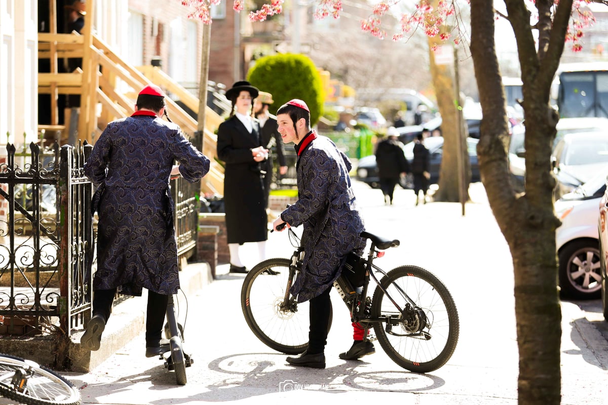 פורים תשפ"ד בבורו פארק