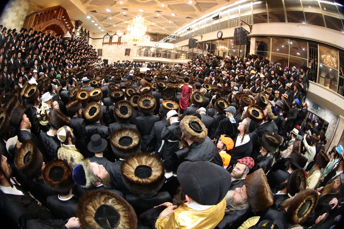 משתה היין בטיש הפורים בחצה"ק דושינסקיא