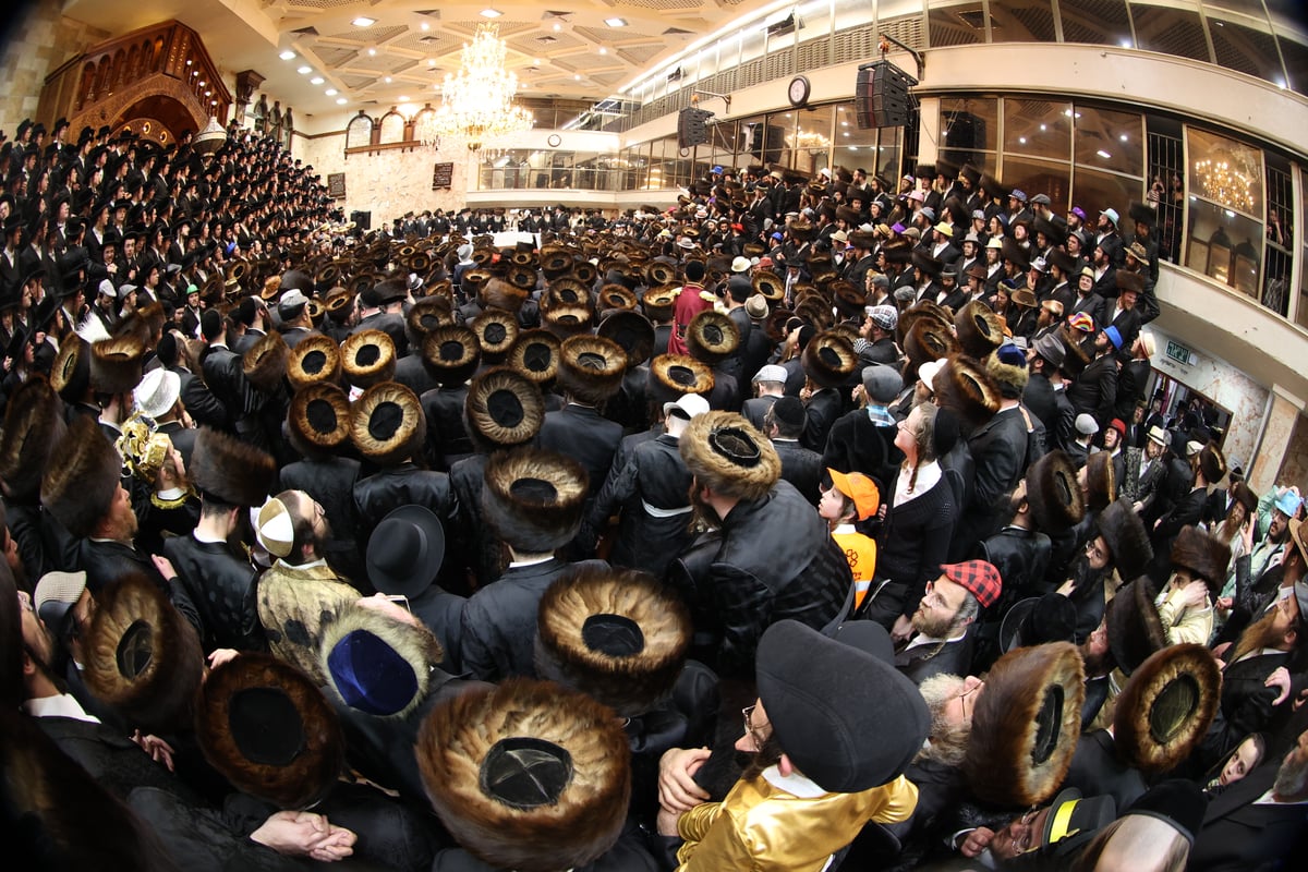 משתה היין בטיש הפורים בחצה"ק דושינסקיא