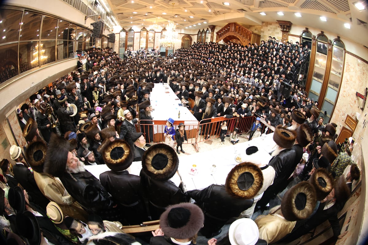 משתה היין בטיש הפורים בחצה"ק דושינסקיא