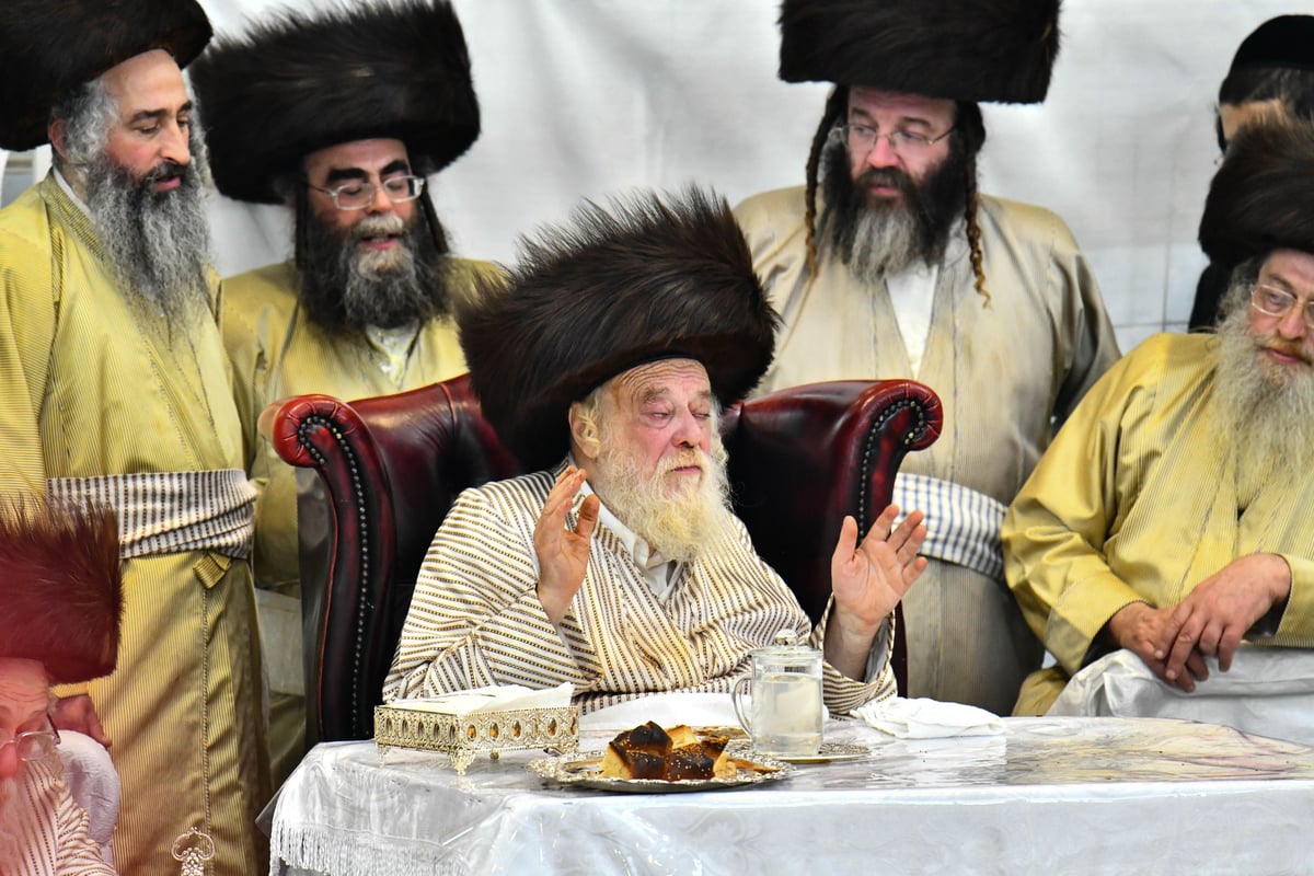 טיש פורים בחצה"ק תולדות אהרון