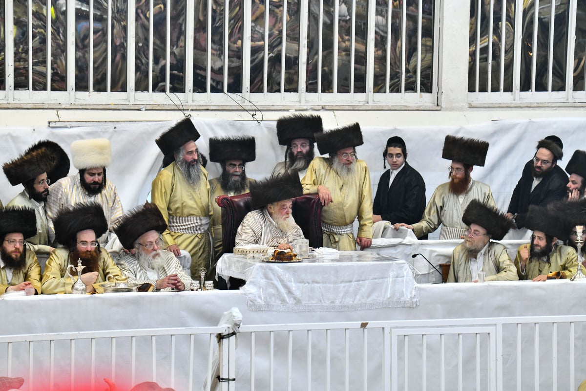 טיש פורים בחצה"ק תולדות אהרון