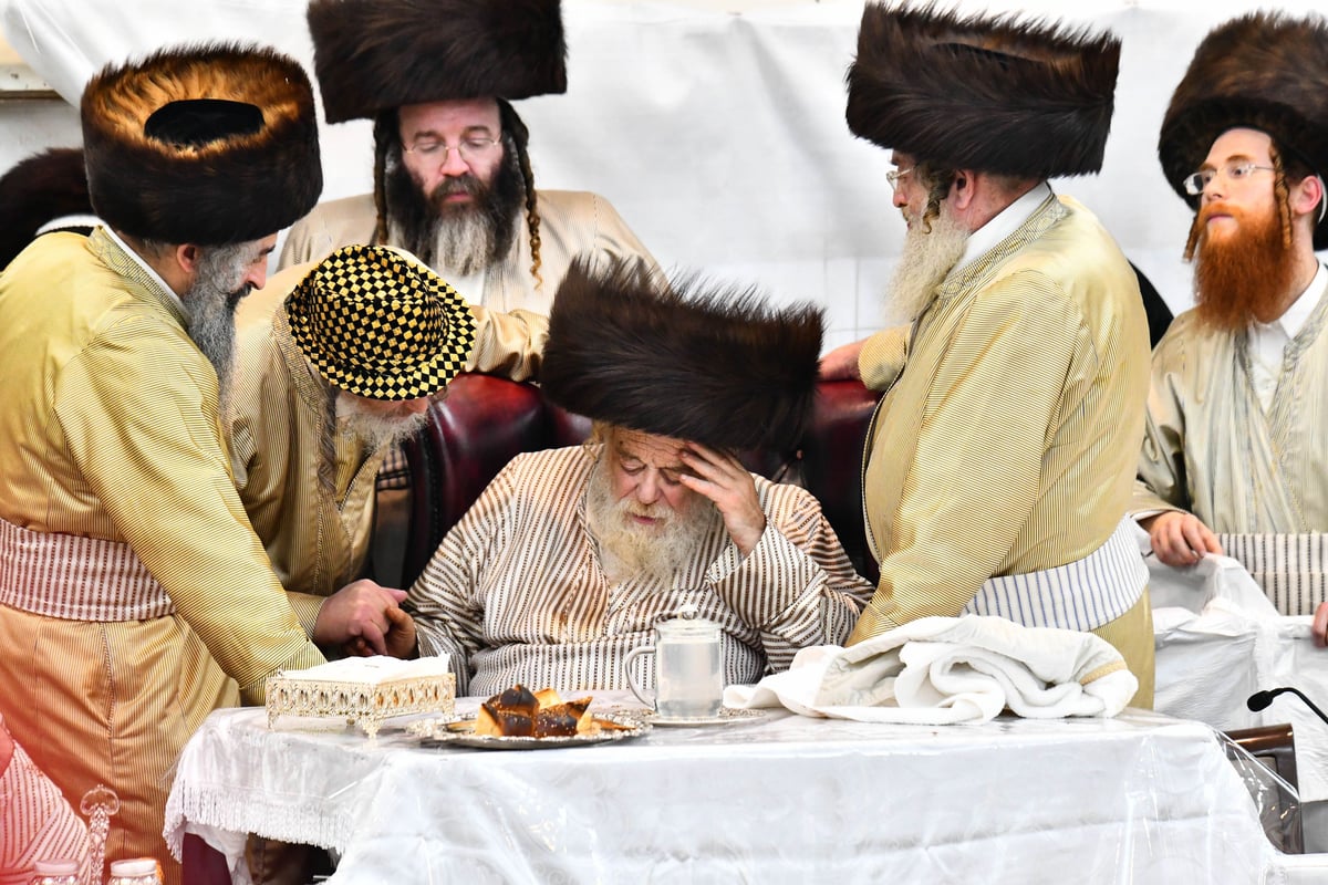 טיש פורים בחצה"ק תולדות אהרון