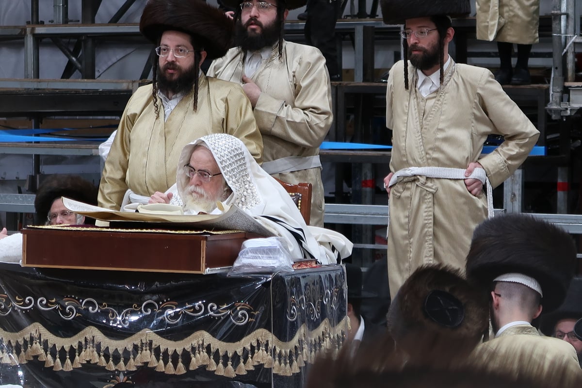 טיש פורים בחצה"ק תולדות אברהם יצחק