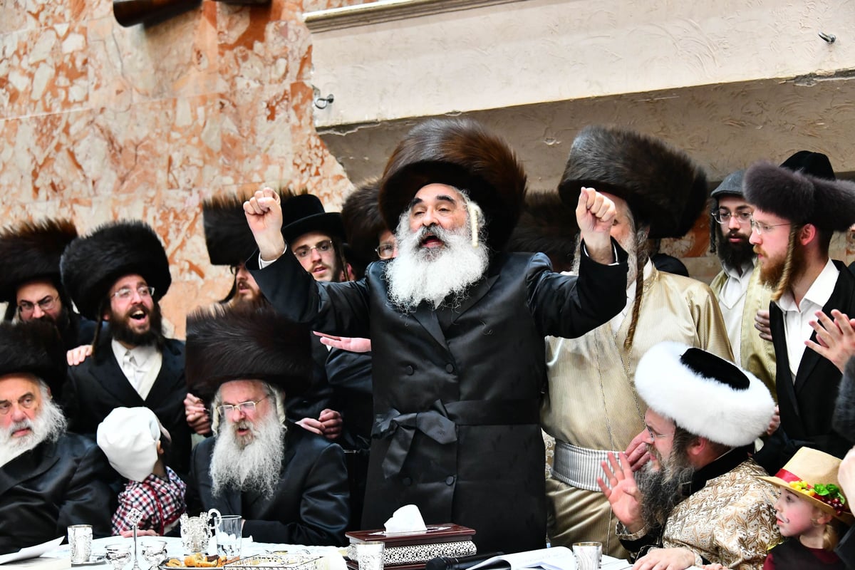 משתה היין בטיש הפורים בחצר הקודש דושינסקיא