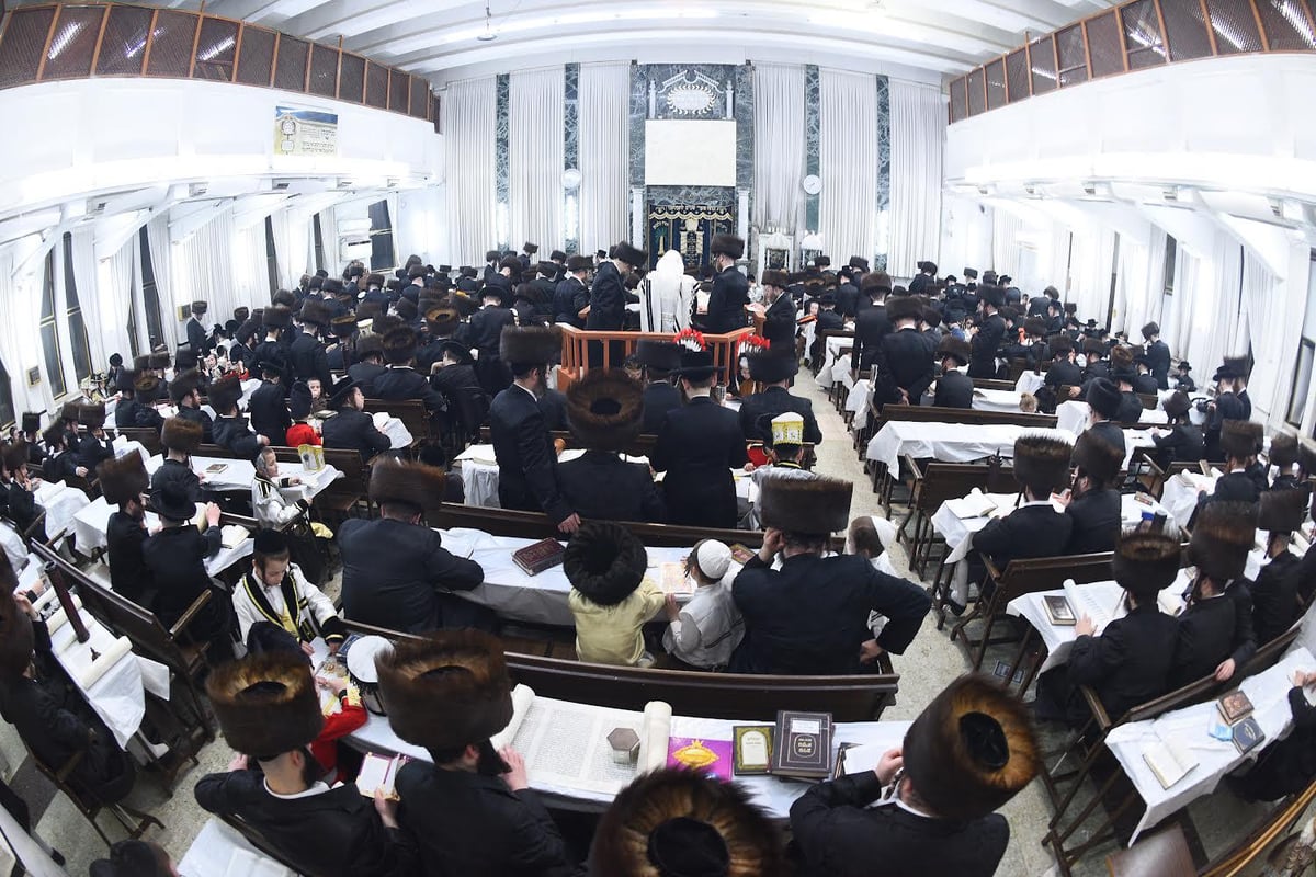 פורים במחיצת הגה"צ רבי חיים צבי מייזליש