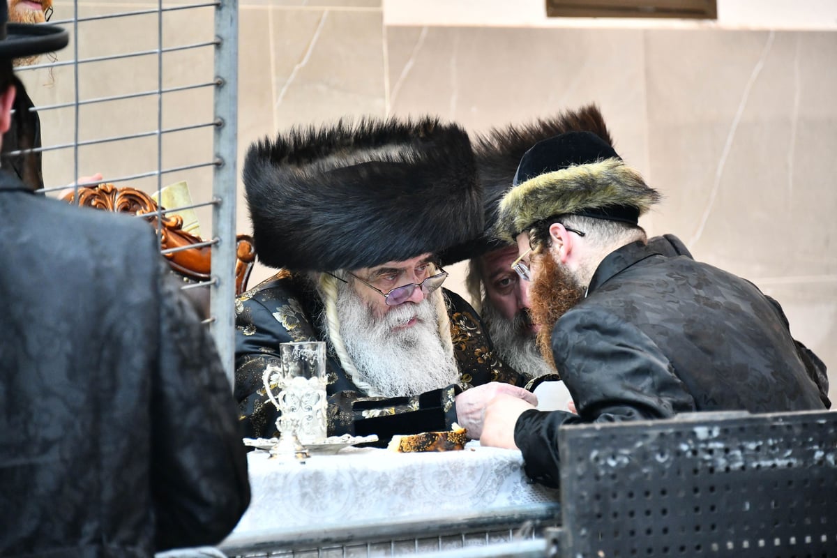 טיש פורים בחצה"ק קרעטשניף ירושלים