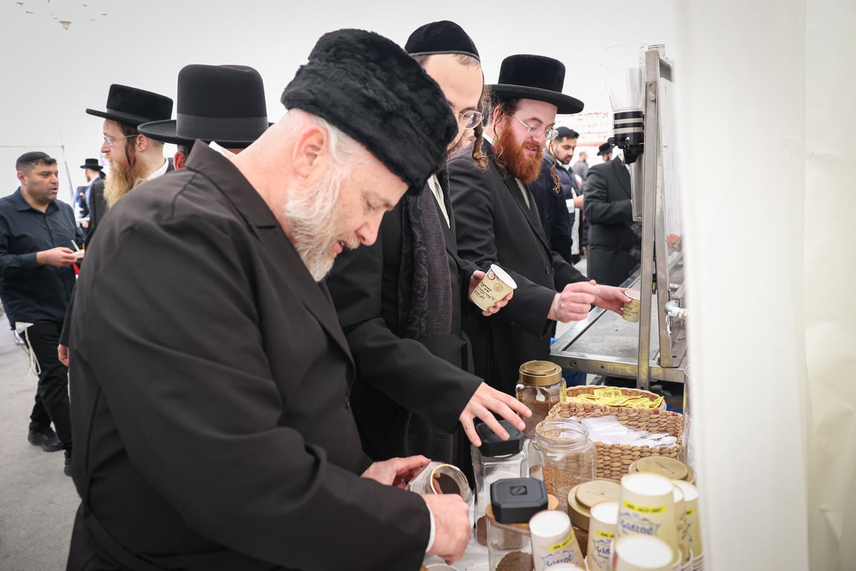 הילולת רבי אלימלך בליז'ענסק