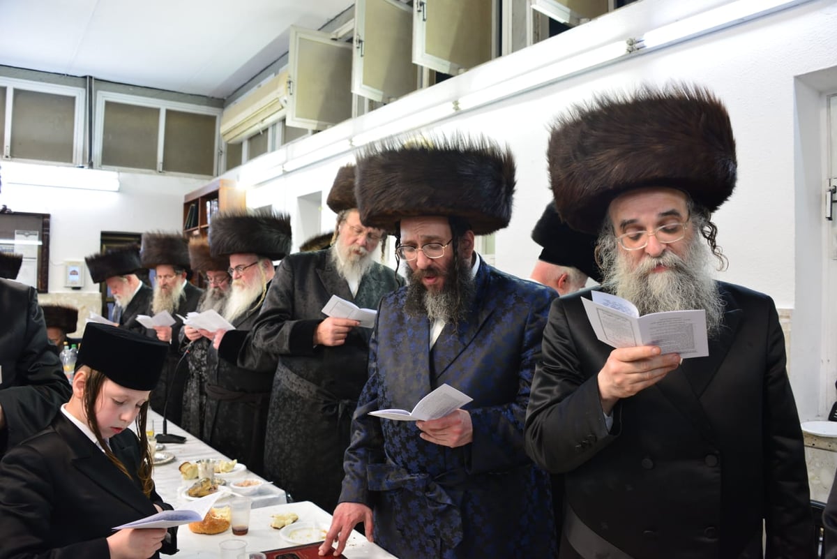 הילולת ר' אלימלך בחצר ביאלה רמת אהרן | תיעוד