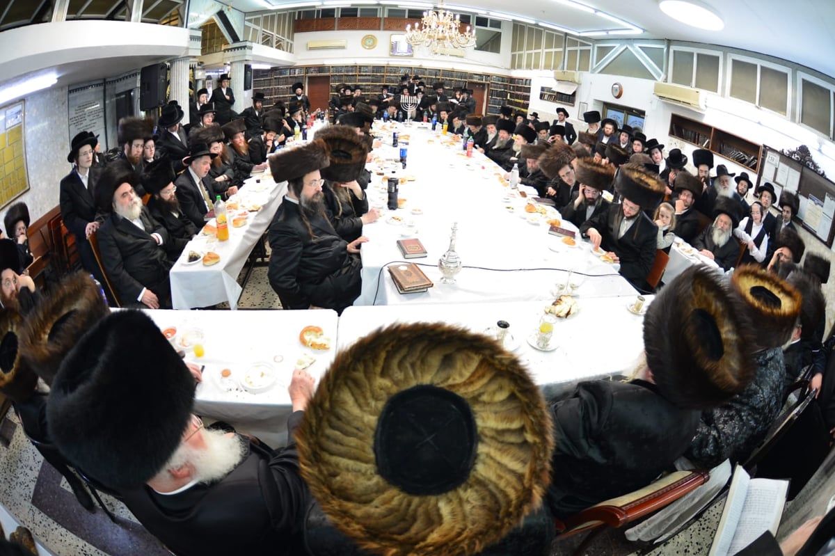 הילולת ר' אלימלך בחצר ביאלה רמת אהרן | תיעוד