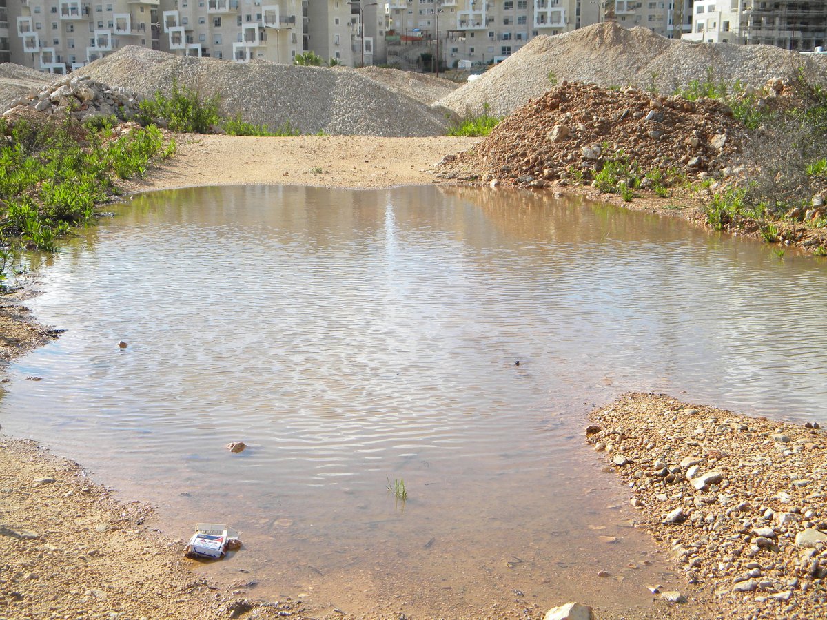 תיעוד: מודיעין עלית עולה על גדותיה