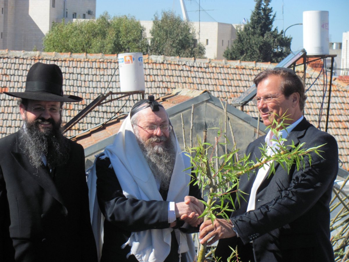 המקובל הרב בצרי העניק ליו"ר קק"ל שתילי ערבה 'עם סגולות' לשמירה על קרקעות המדינה