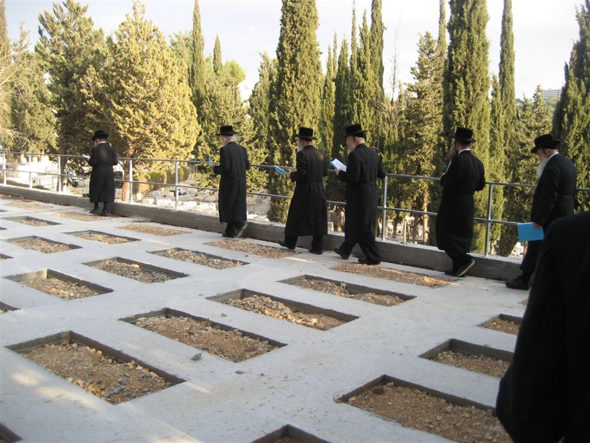 בהוראת האדמו"ר מבלעזא: החלקה קודשה