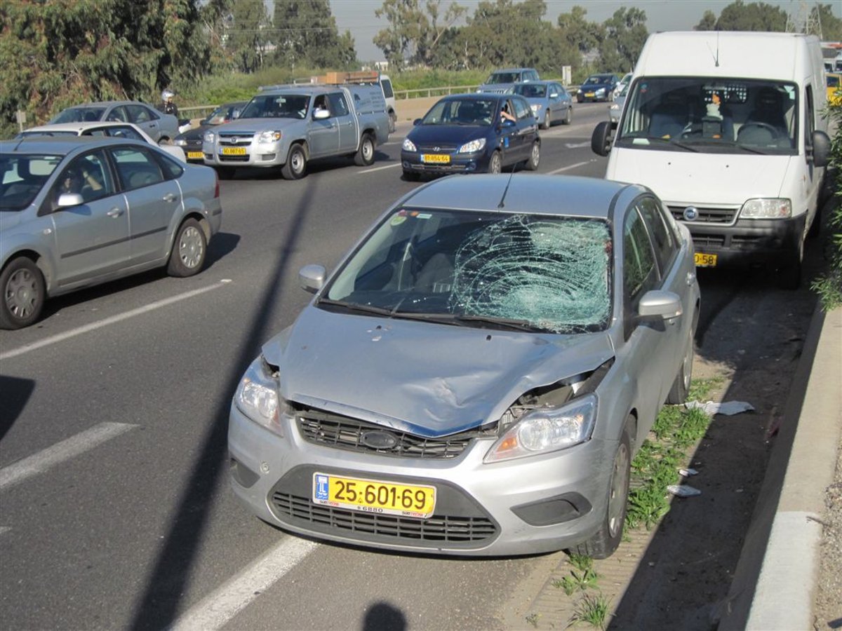 הקטל בכבישים: עובד מע"צ נהרג. צפו