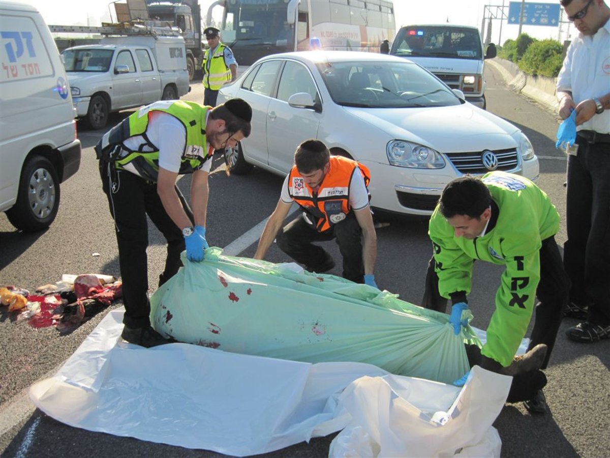 הקטל בכבישים: עובד מע"צ נהרג. צפו