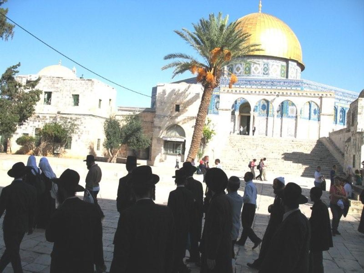 תיעוד וידאו נדיר: חרדים בהר הבית