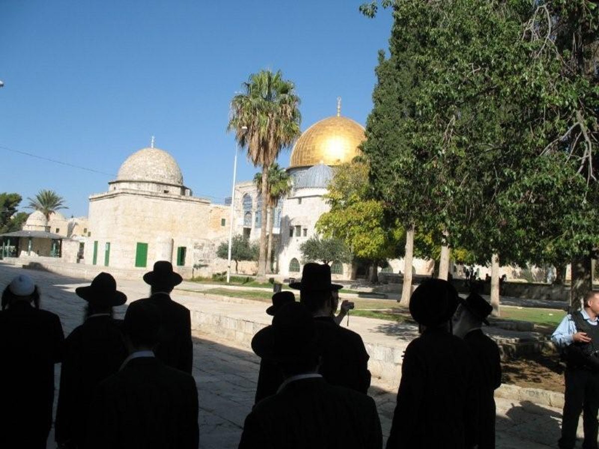 תיעוד וידאו נדיר: חרדים בהר הבית