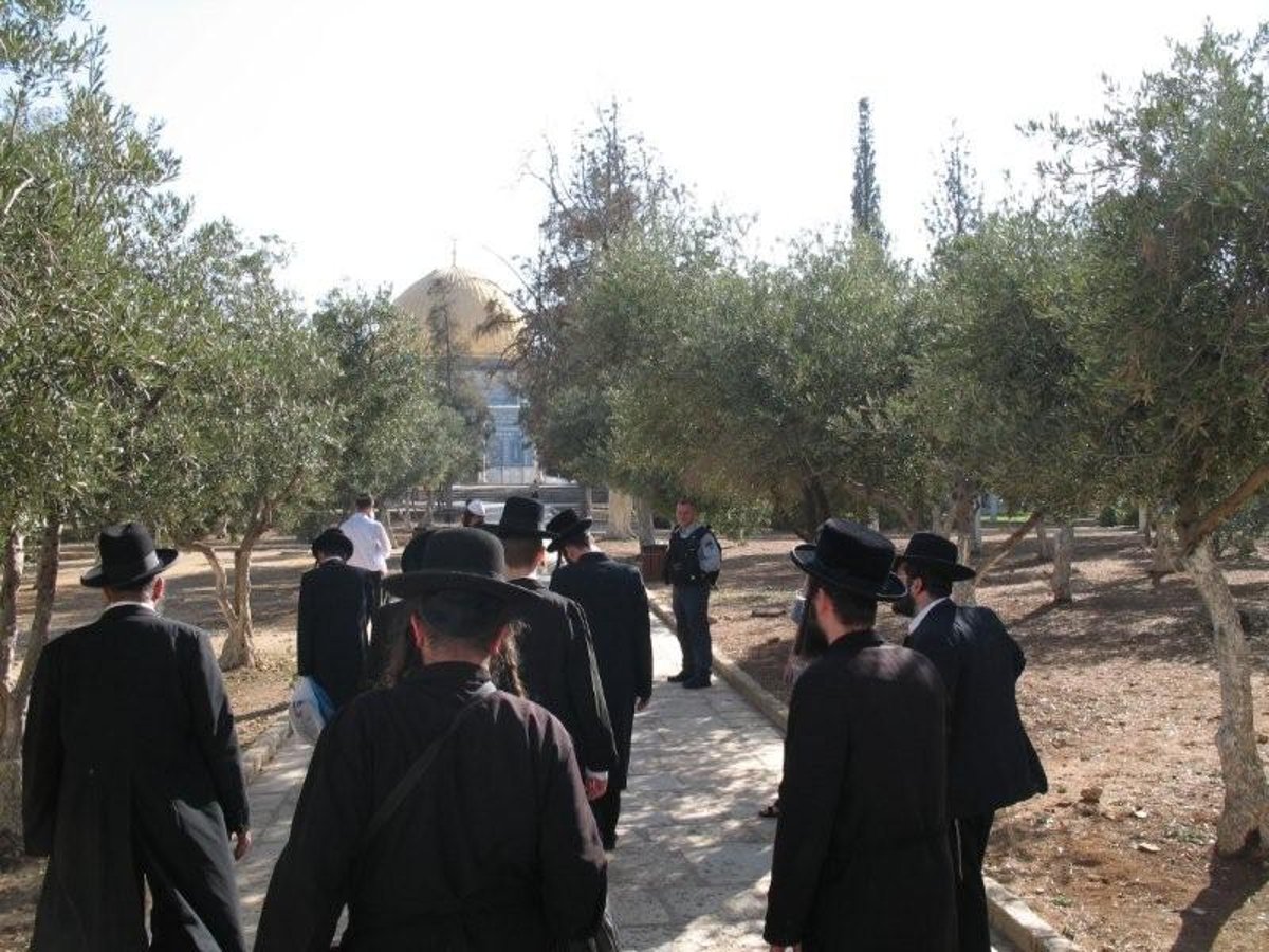 תיעוד וידאו נדיר: חרדים בהר הבית