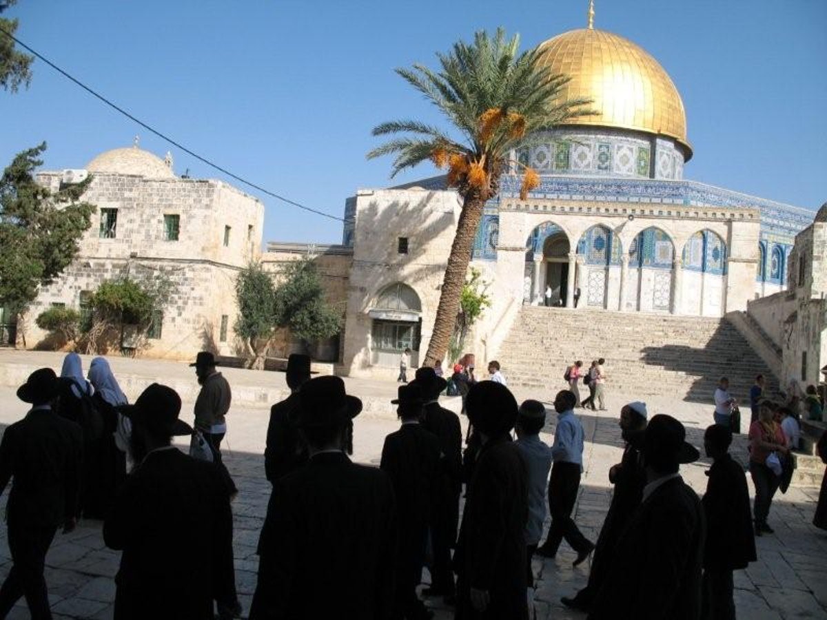 תיעוד וידאו נדיר: חרדים בהר הבית