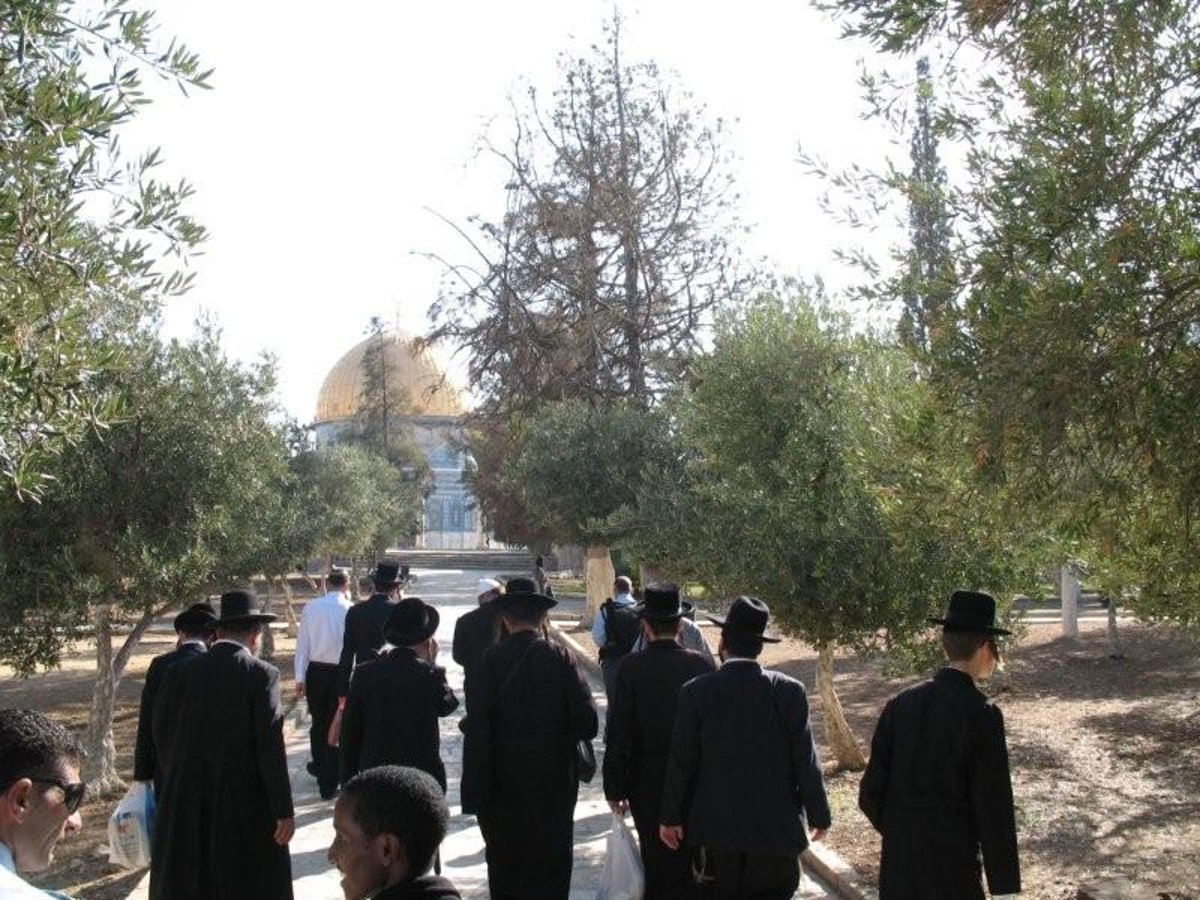 תיעוד וידאו נדיר: חרדים בהר הבית