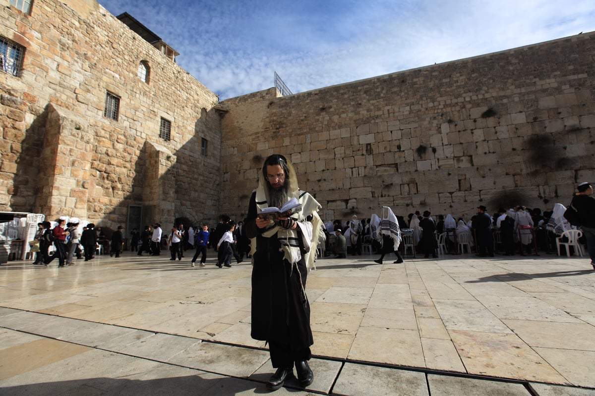 תמונות: האדמו"ר מרחמסטריווקא ארה"ב בכותל